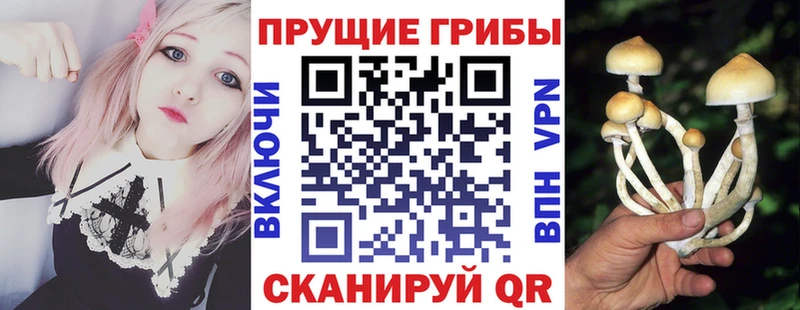 Галлюциногенные грибы прущие грибы  Купить где  Сосенский 