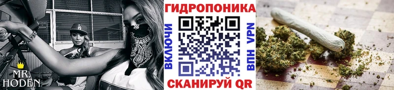 Купить закладки  Сосенский  Бошки марихуана Ganja 